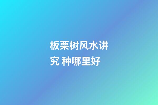 板栗树风水讲究 种哪里好